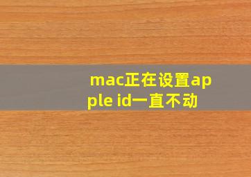 mac正在设置apple id一直不动